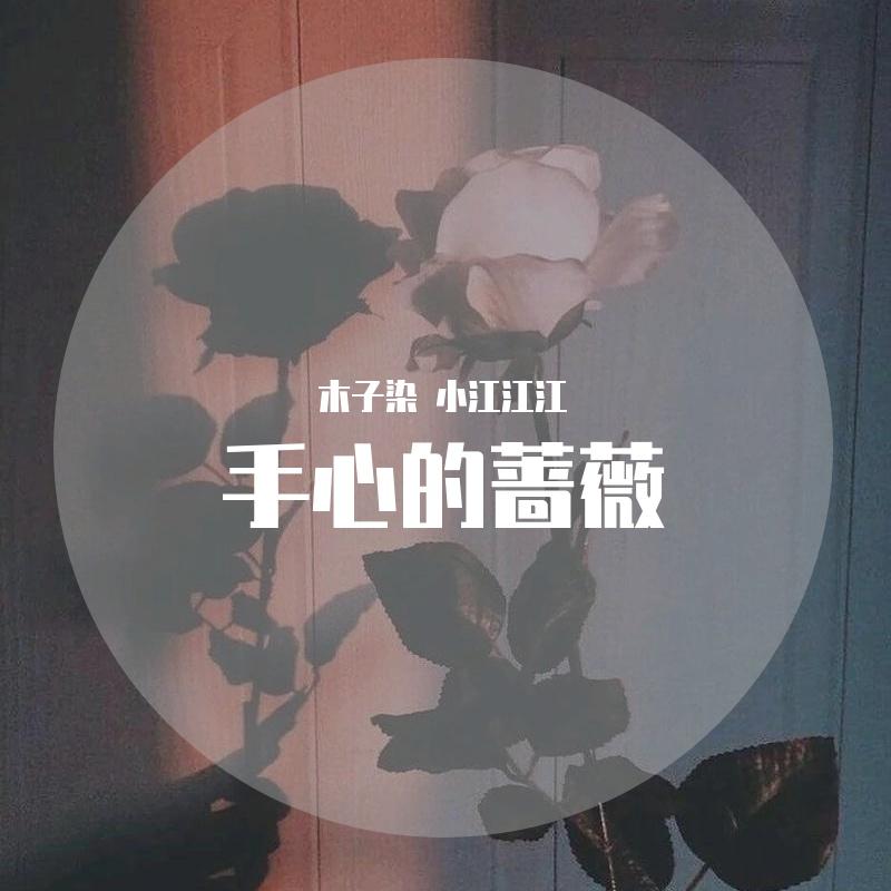 手心的蔷薇封面