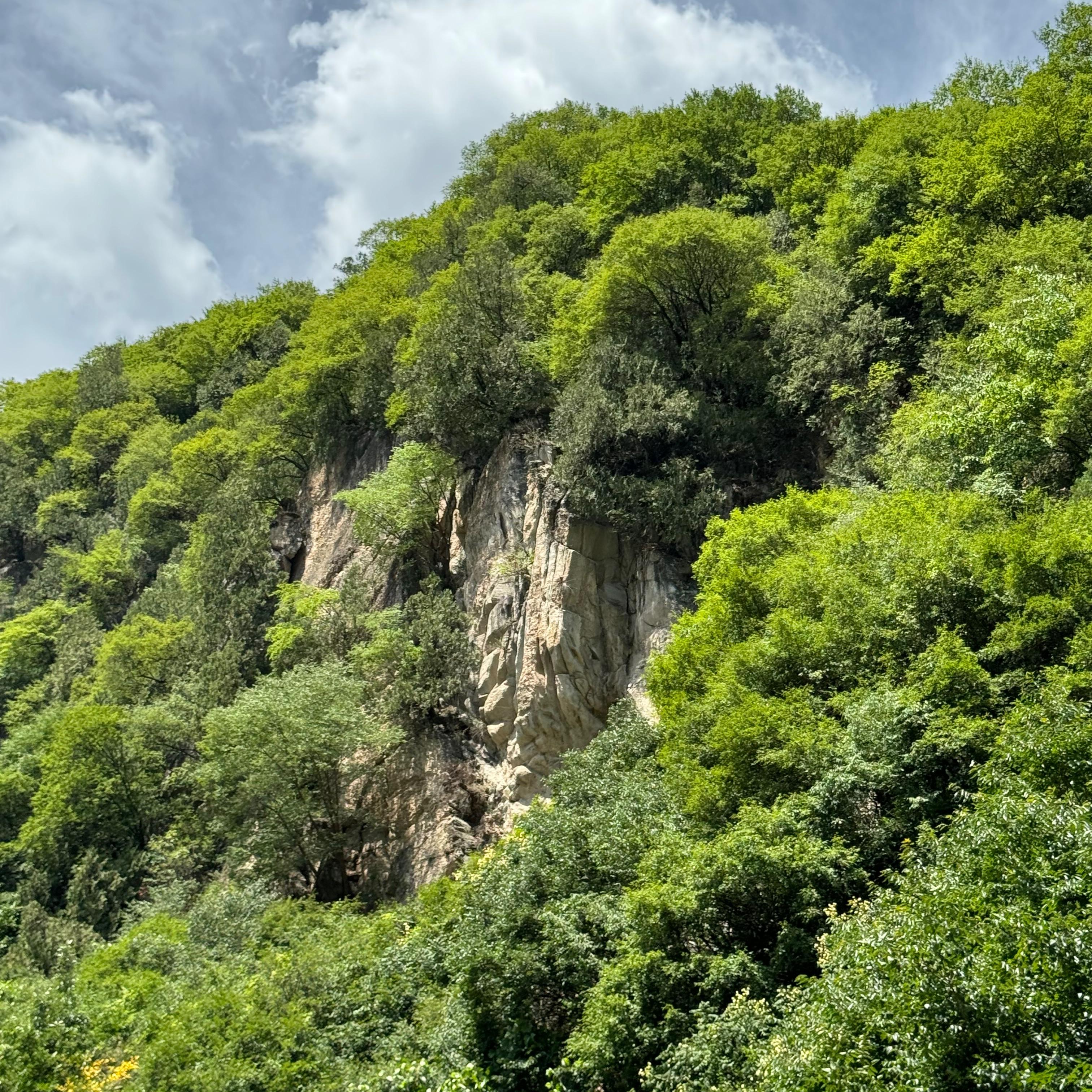 我想念群山（cover.朱芾）