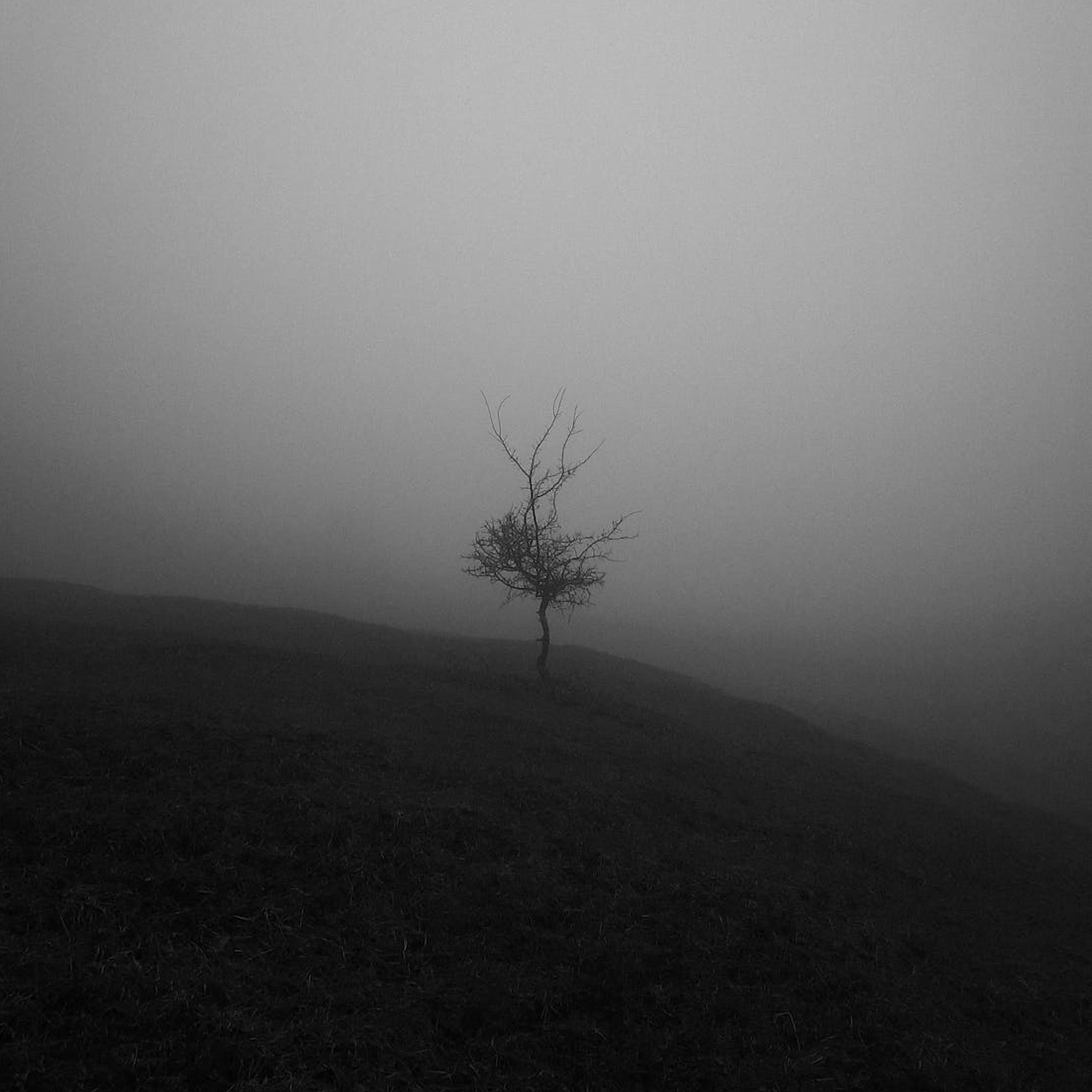 Sorry That I Hurt You