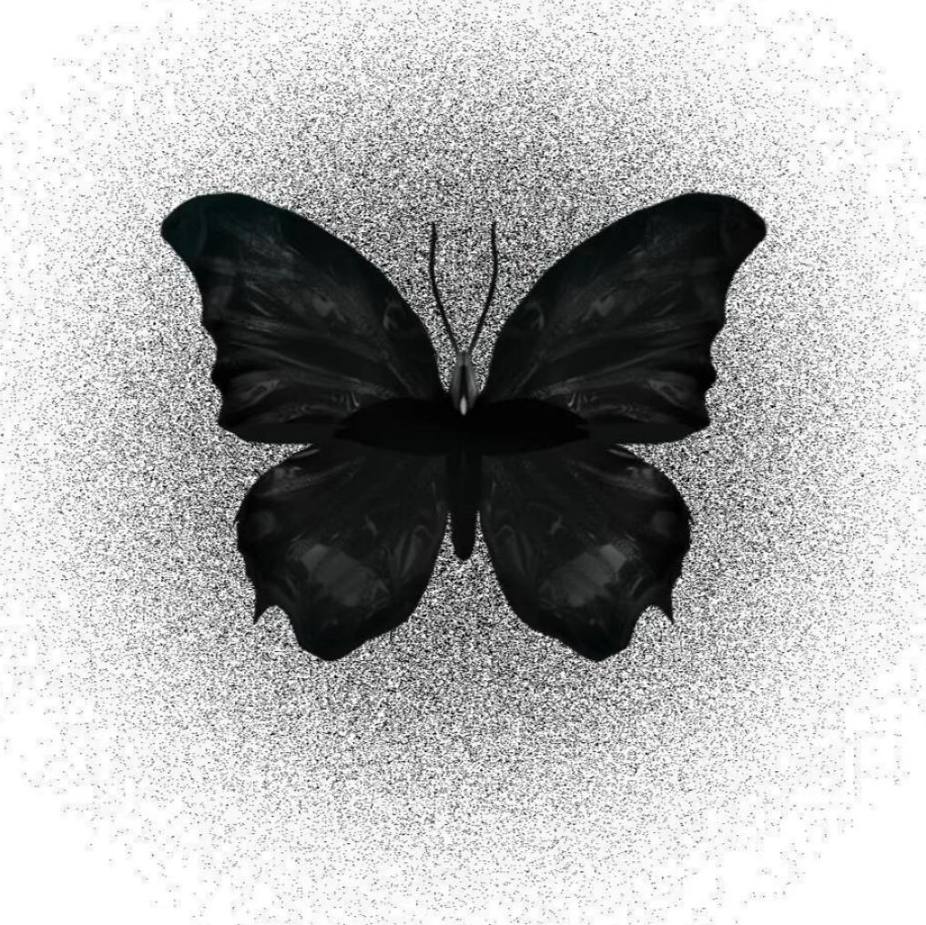 试着与自己和解