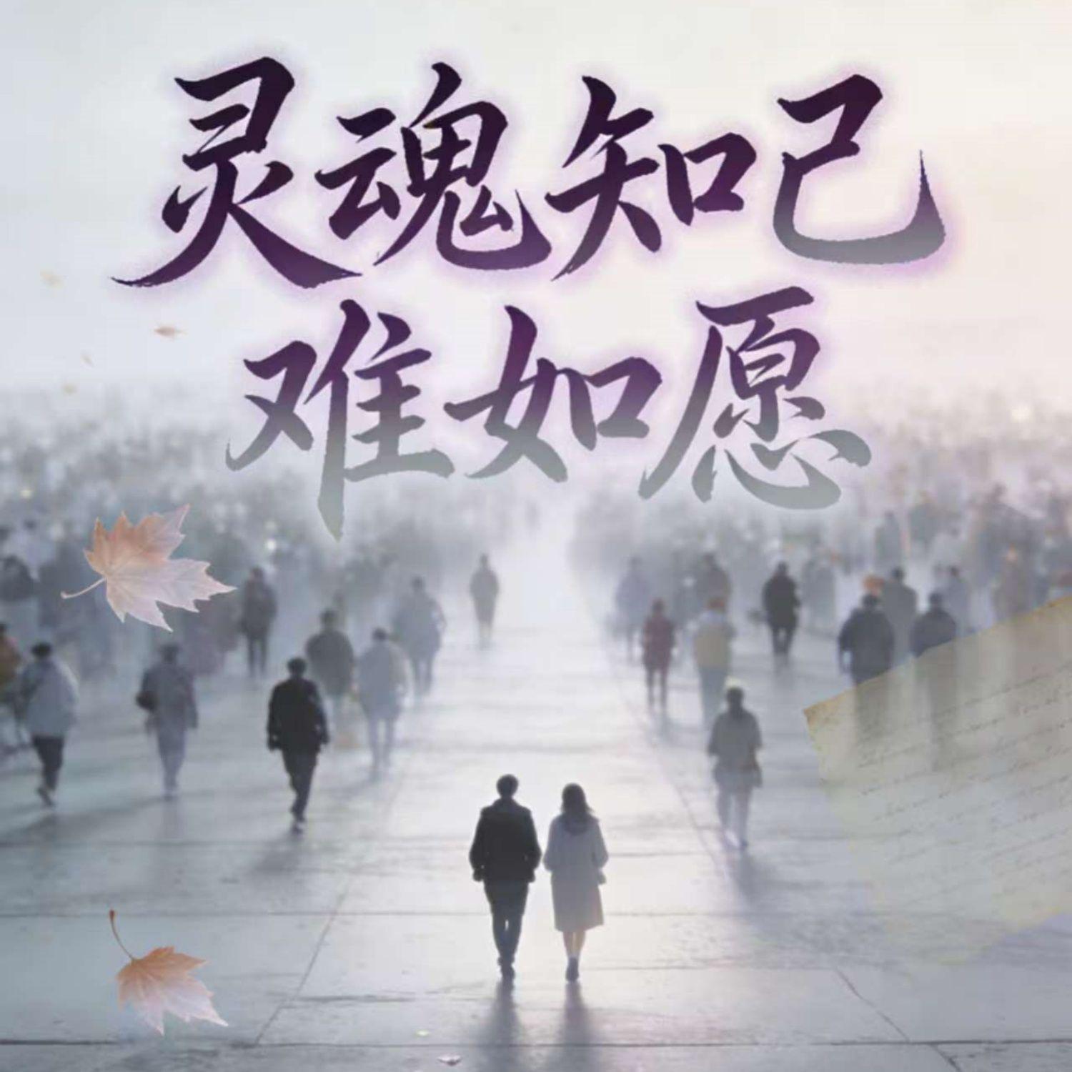 灵魂知己难如愿封面