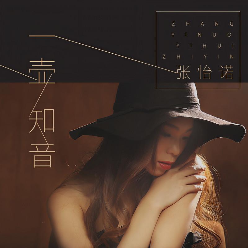 一壶知音 (DJ沈念版)封面