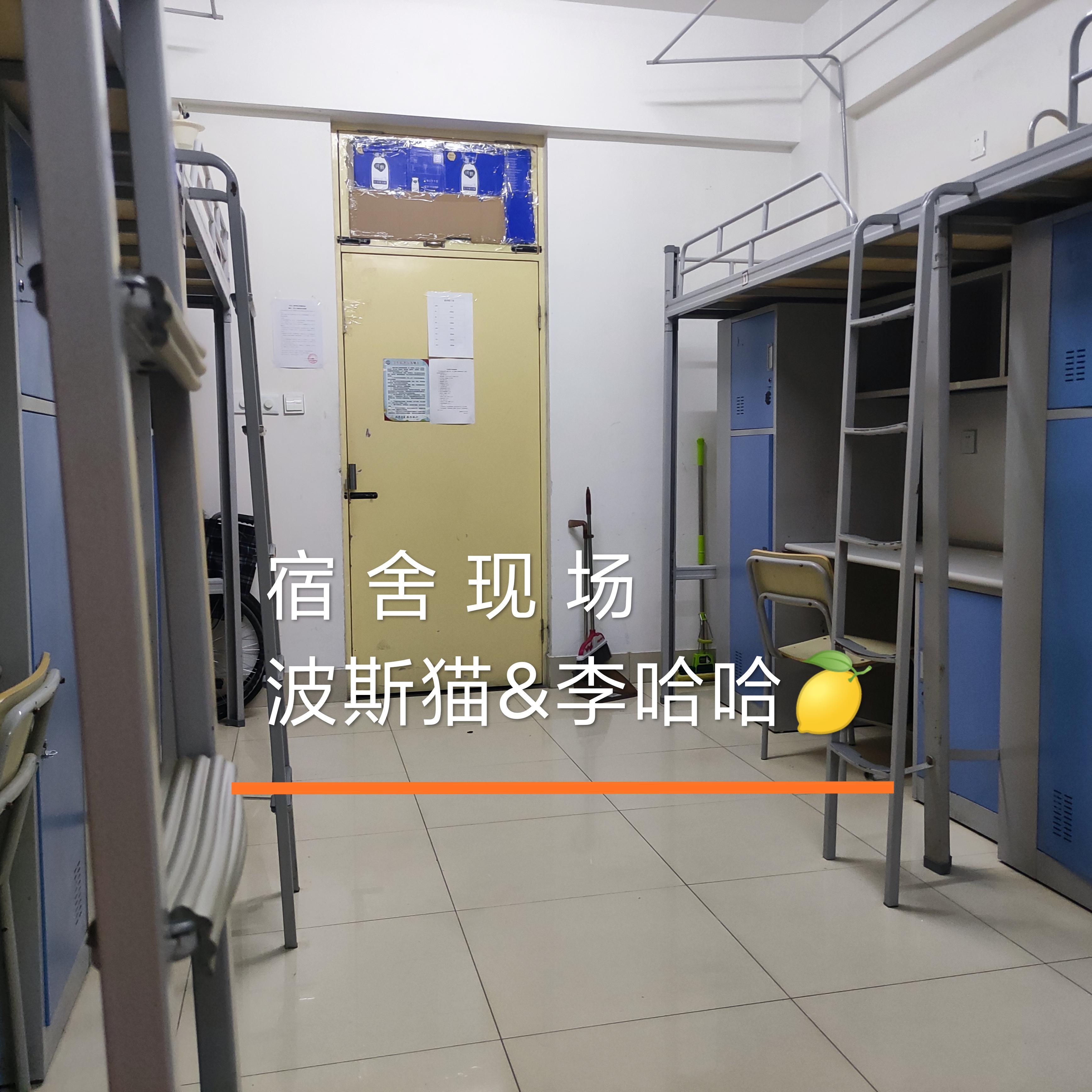威海一夜live封面