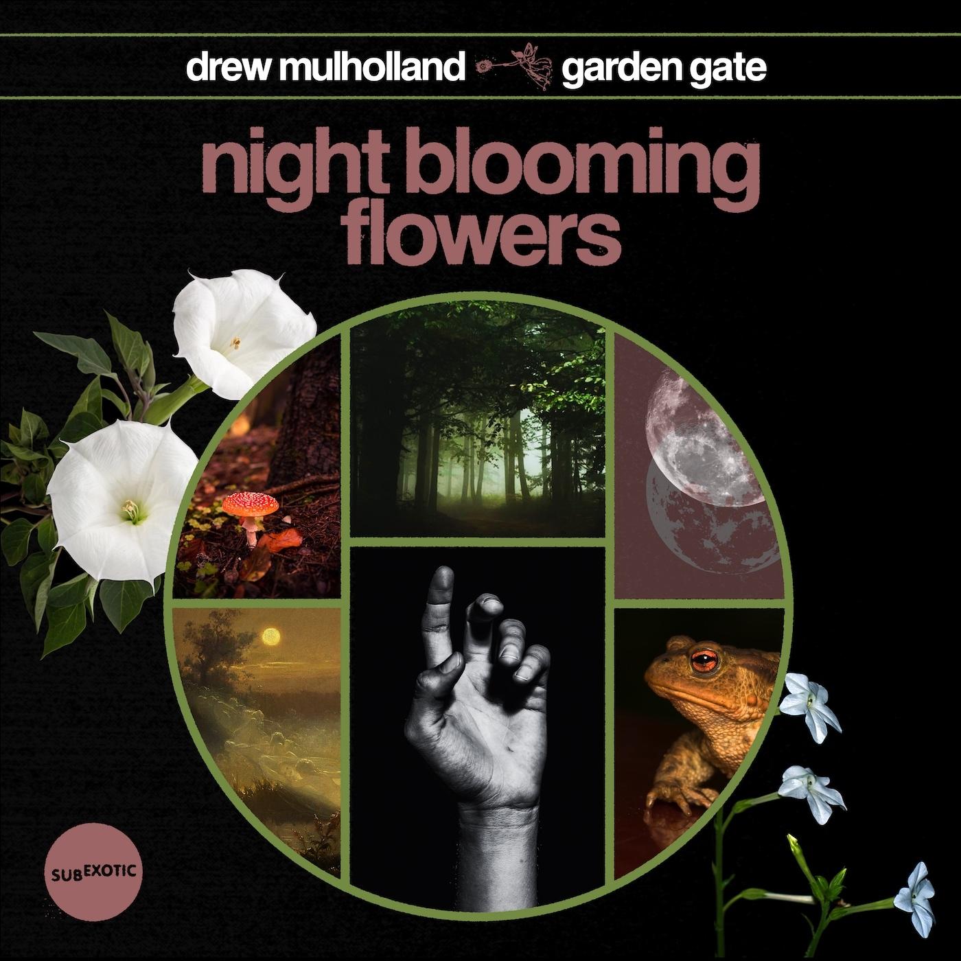 Night Blooming Flowers Drew Mulholland/Garden Gate 单曲 网易云音乐