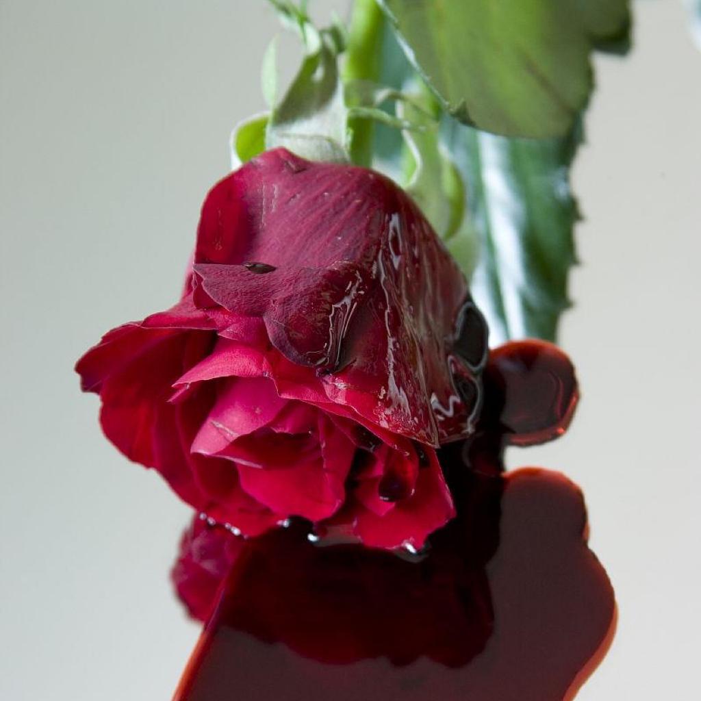 RosaBloody_玫瑰血