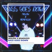 Bass Goes Down