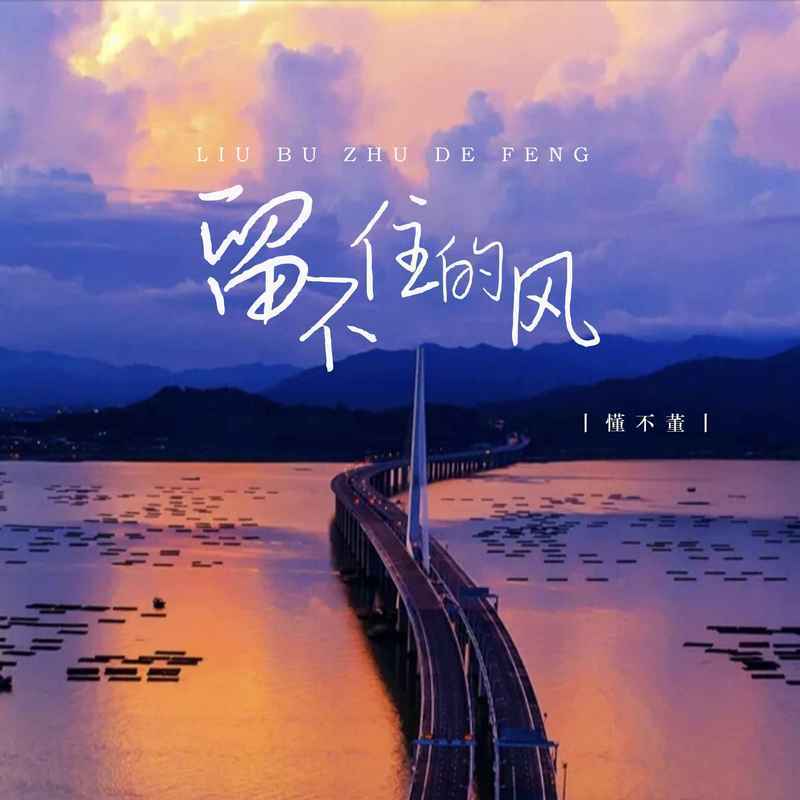 留不住的风 (女版)封面