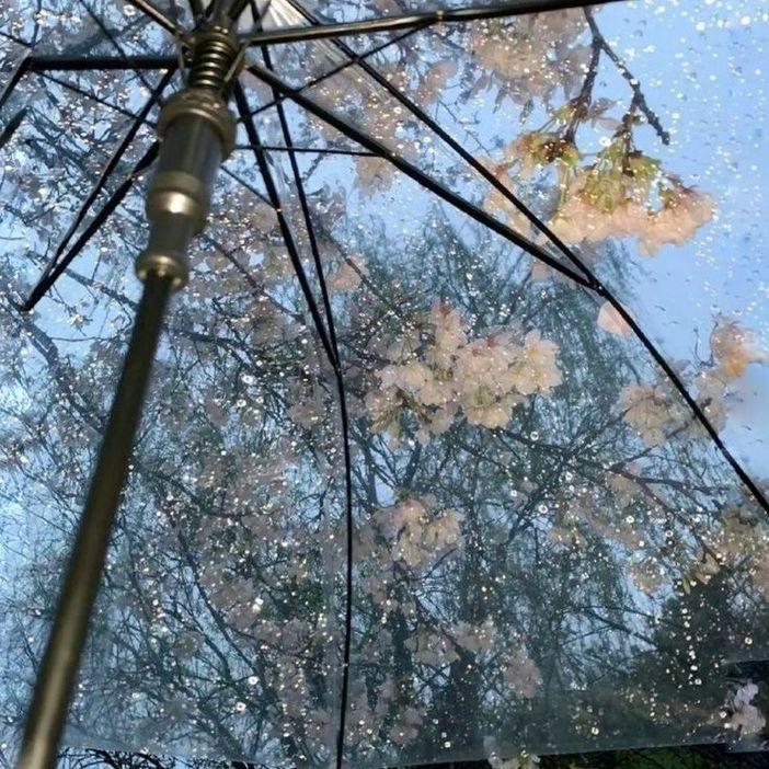 雨是天空的眼泪