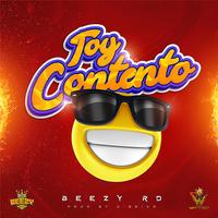 Toy contento