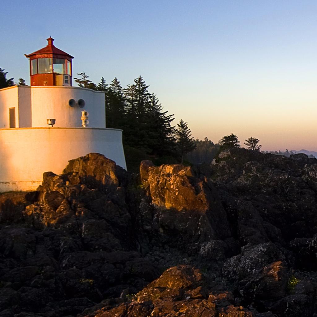 あいうえおかきくけこさしすせそたちつてとなにぬねのはひふへほまみむめもらりるれろ