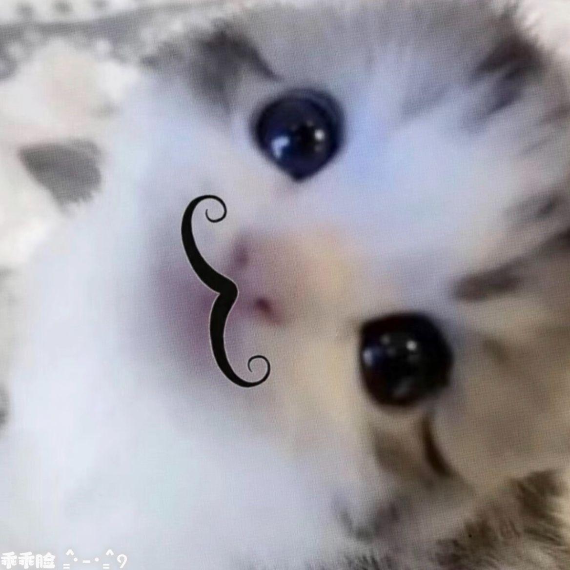 为什么（纯音乐）