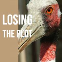 Losing the Plot