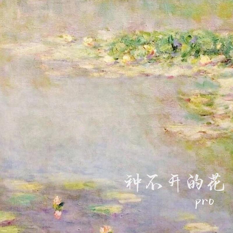 种不开的花封面