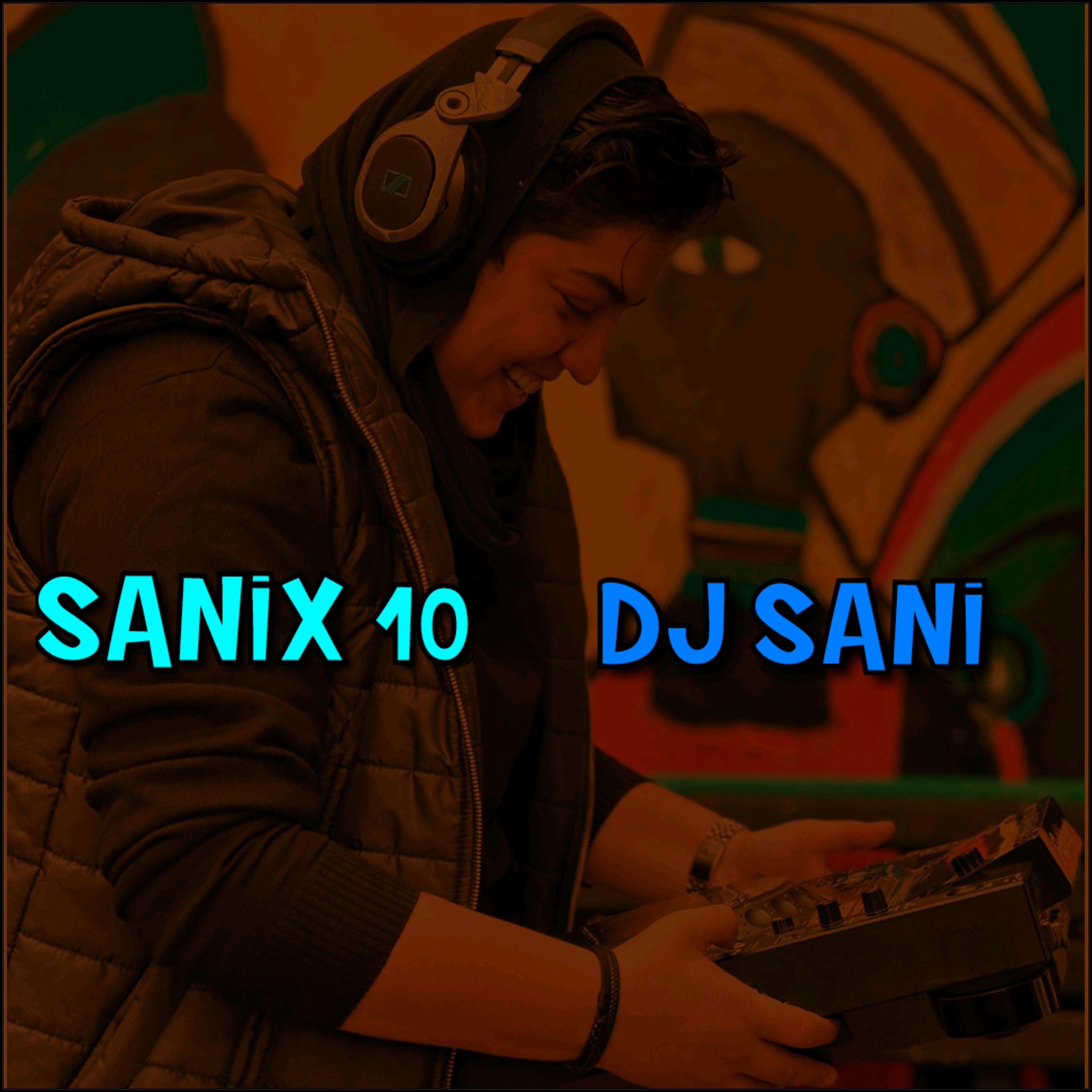 Sanix 10