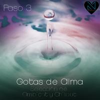 Gotas de Alma, Paso 3 (Selección de Ambient y Chillout)