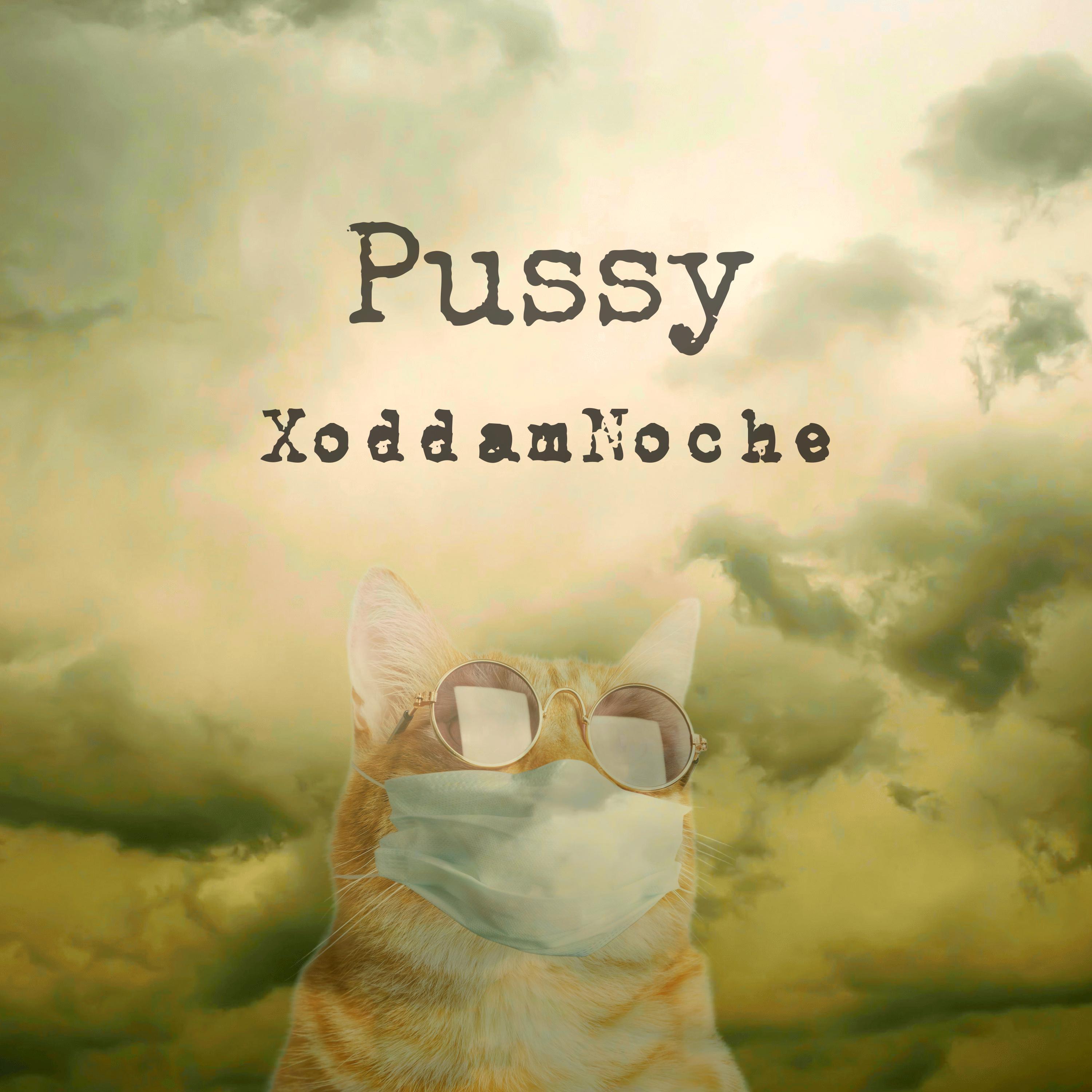 pussy
