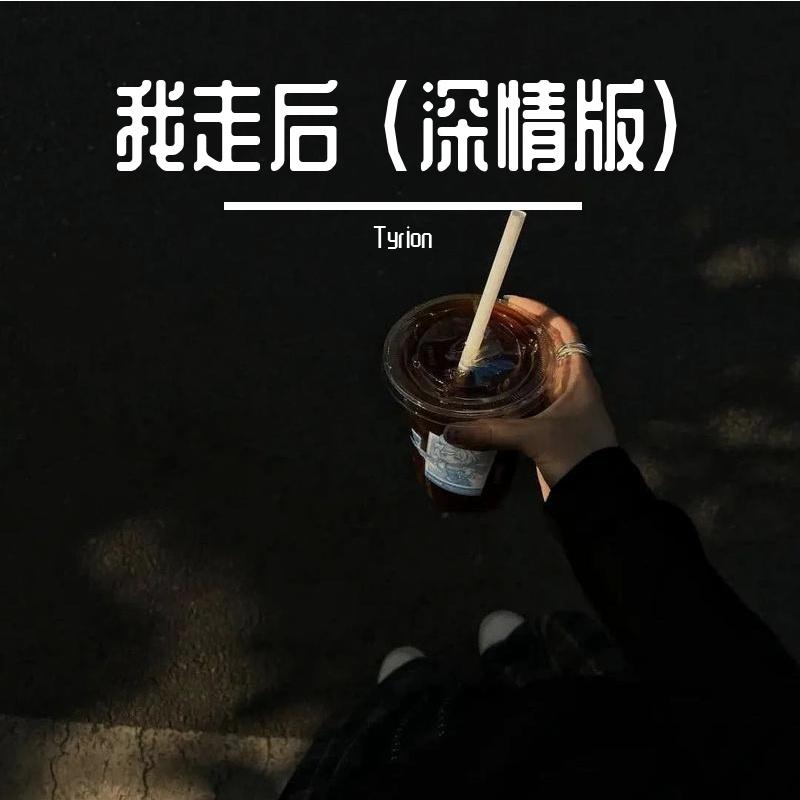我走后封面