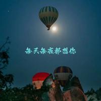 每天每夜都想你