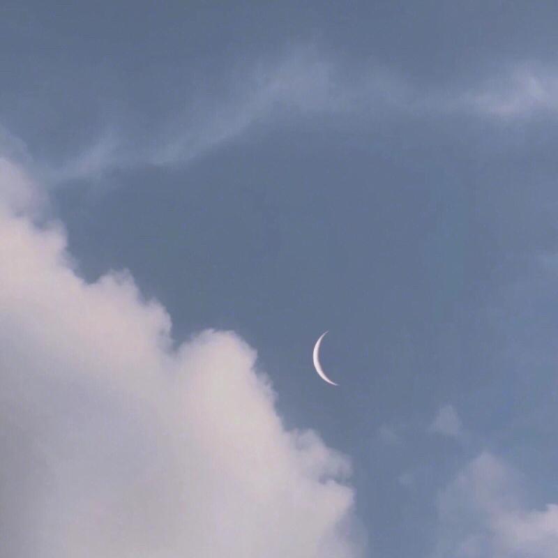 你是年少的欢喜 - 你又不问封面