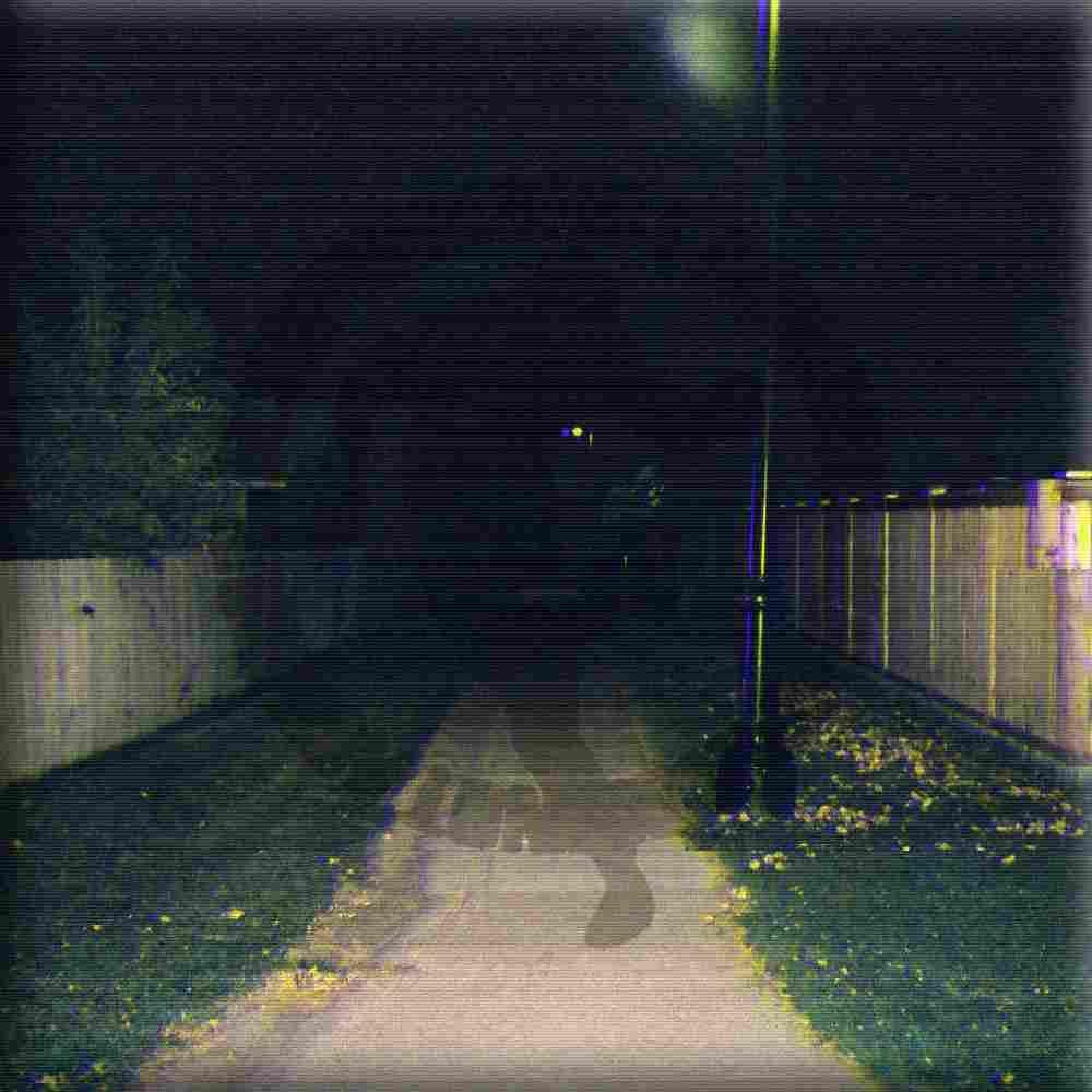 пограничный.mp555 (feat. Dj Svevsx)