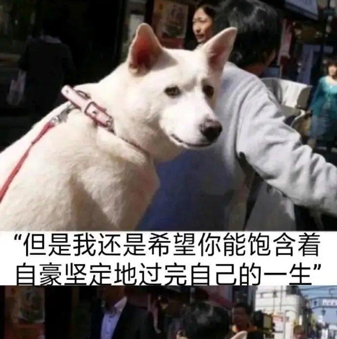 星空下的地平线