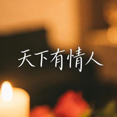 天下有情人封面