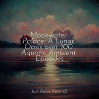 Moonwater Palace: A Lunar Oasis over 100 Aquatic Ambient Episodes