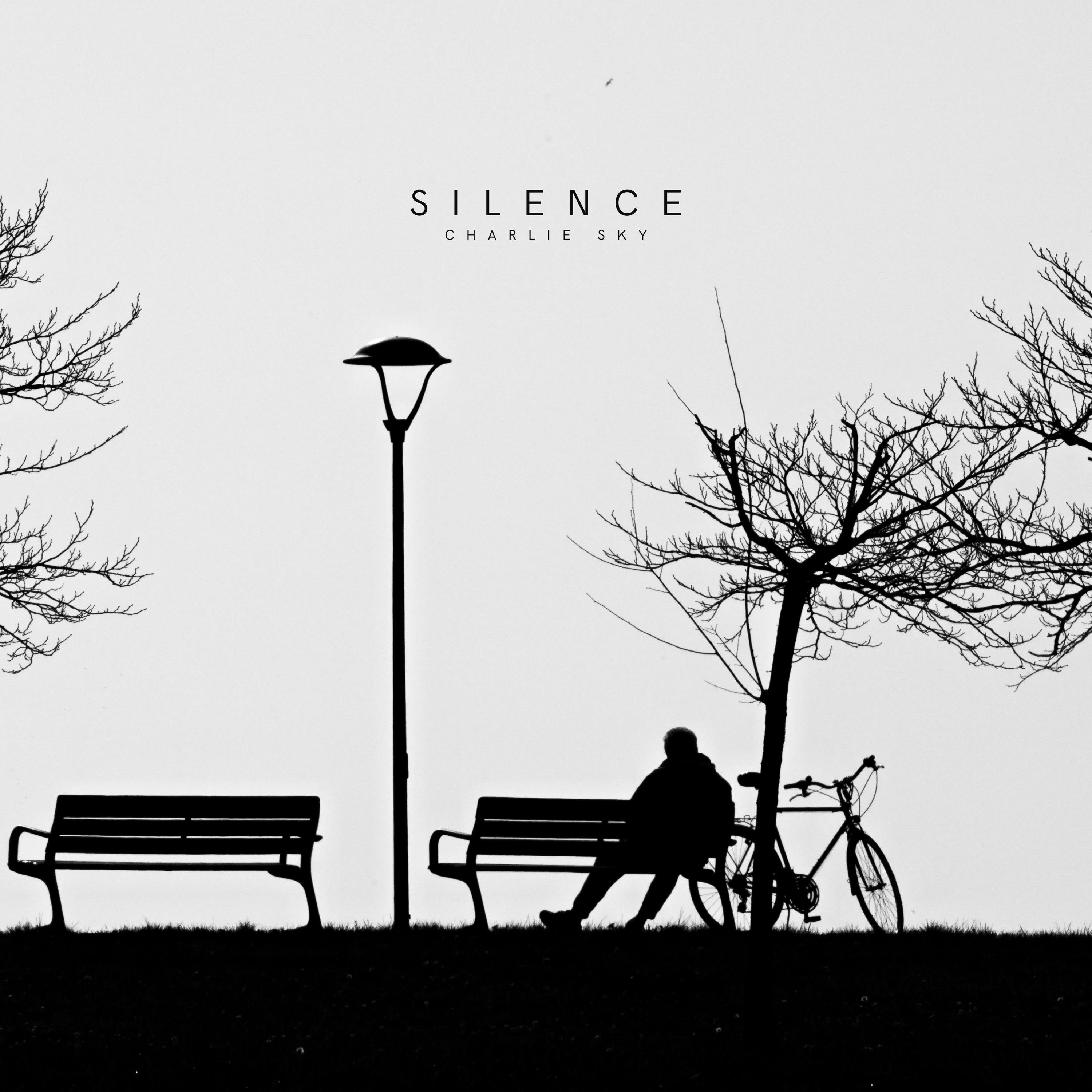 Delicate Silence