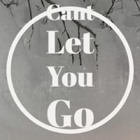 Cant Let You Go