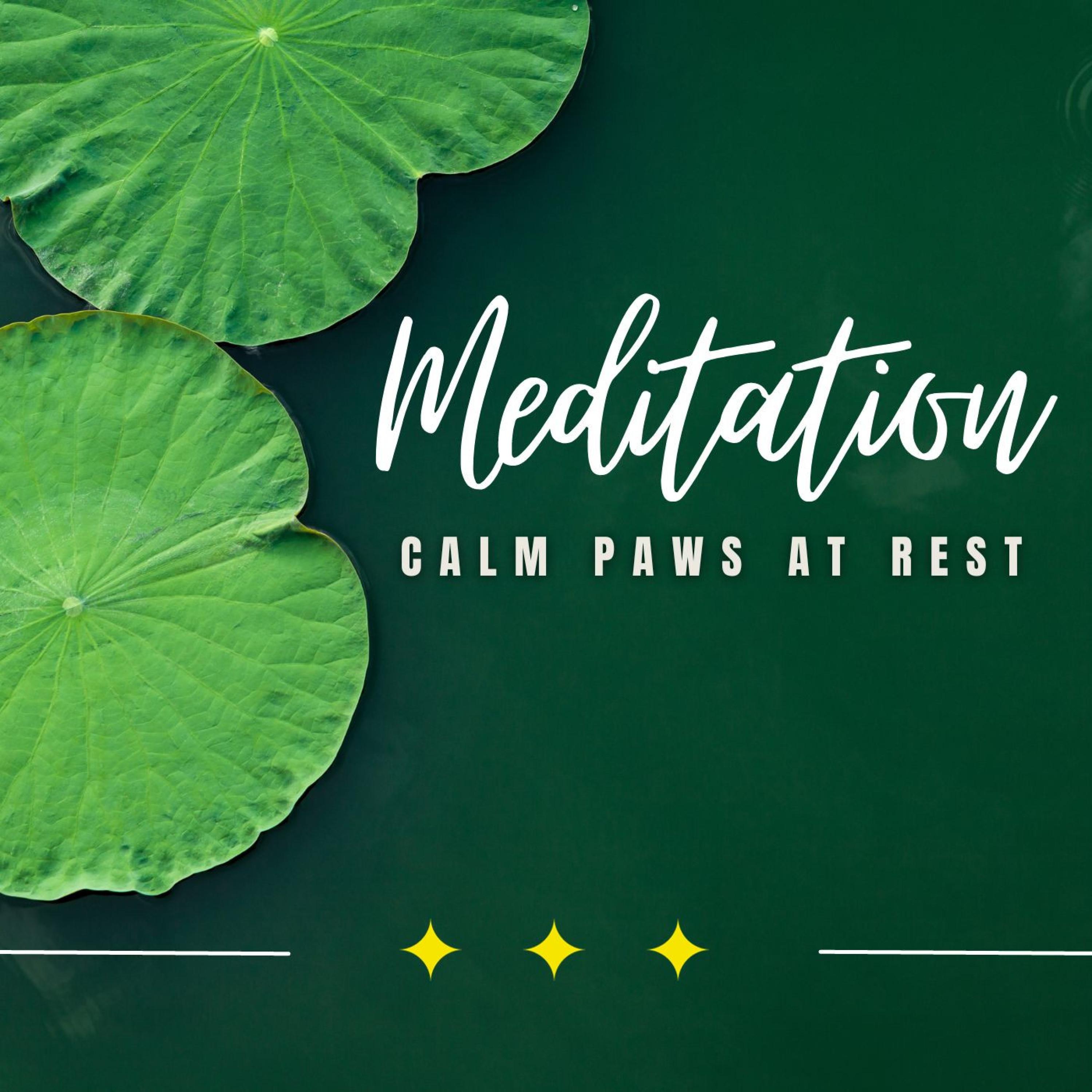 cozy-kitty-dreamscapes-the-cat-relaxer-meditation-music-therapy