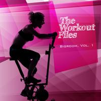 The Workout Files - Bigroom, Vol. 1