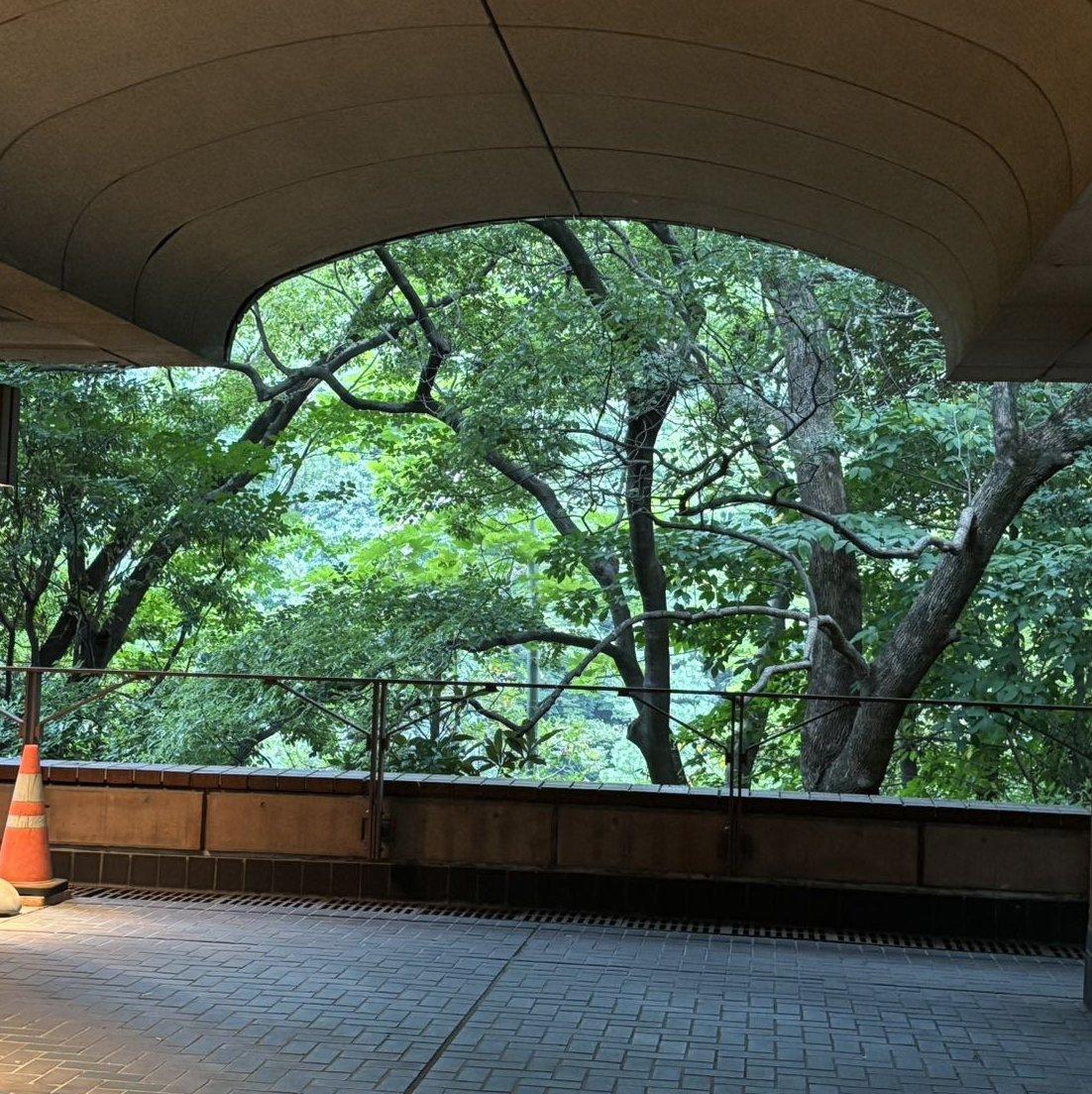 写作业//画画用