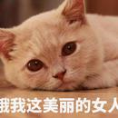 西周小呆