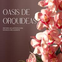 Oasis De Orquideas: Retiro Acuático Con Música Relajante