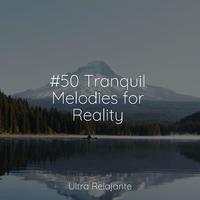 #50 Tranquil Melodies for Reality