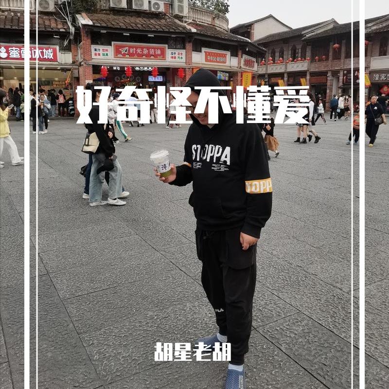 好奇怪不懂爱 伴奏封面