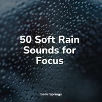 Baby Sleep - Waves, Far, Strong Wind, Far