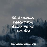 30 Amazing Tracks for Relaxing at the Spa