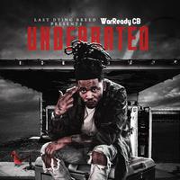 WarReady CB