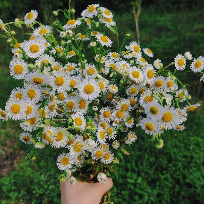 温柔治愈—你配得上世间所有的美好