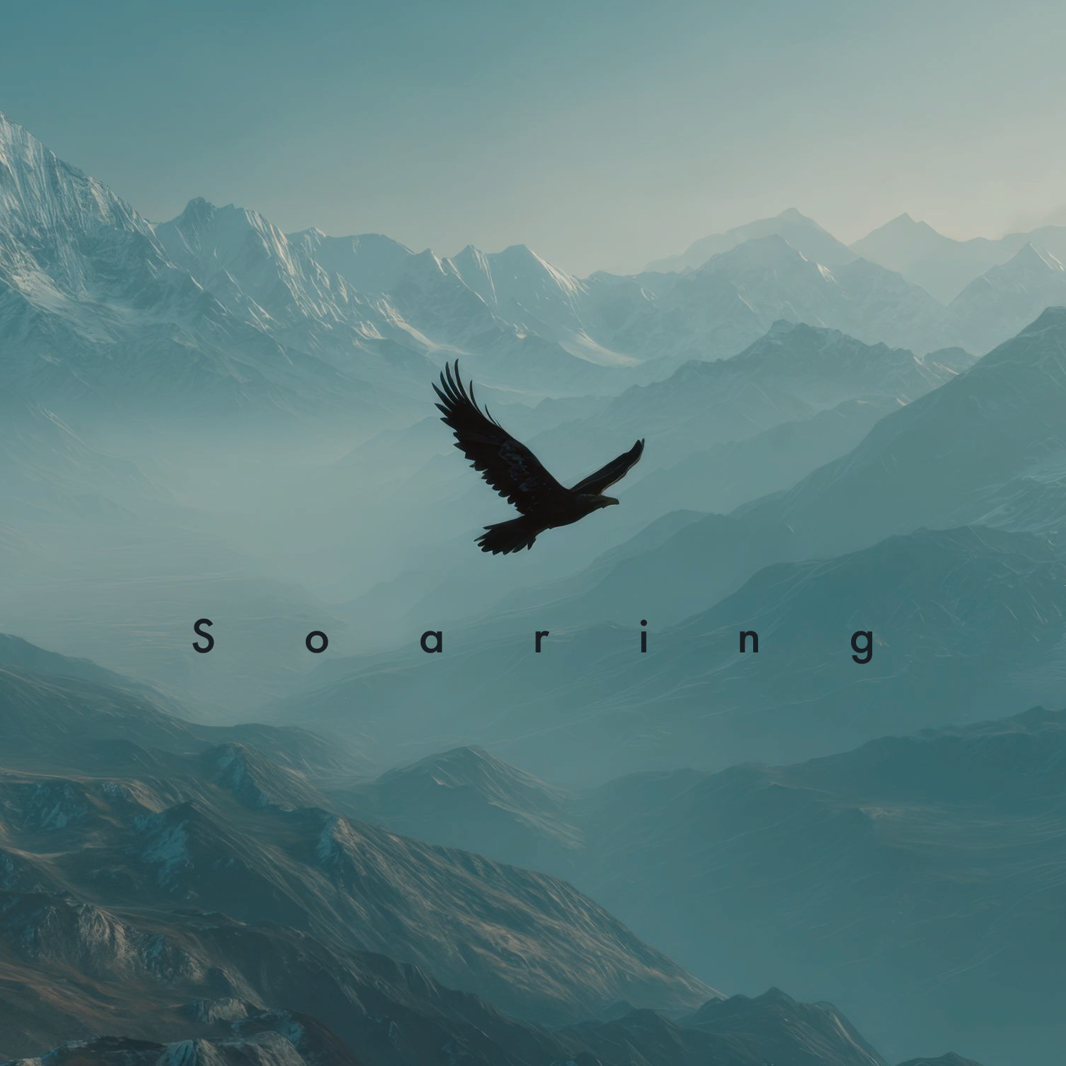 Soaring