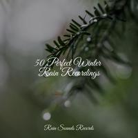 50 Perfect Winter Rain Recordings