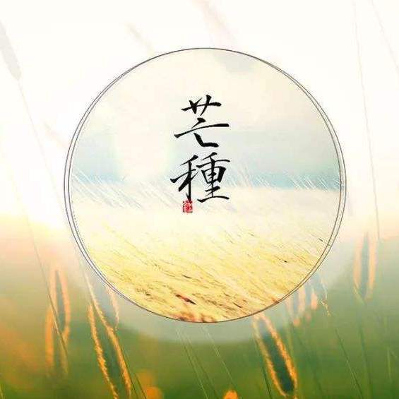 音阙诗听-芒种(一沫 remix)