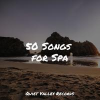 50 Songs for Spa