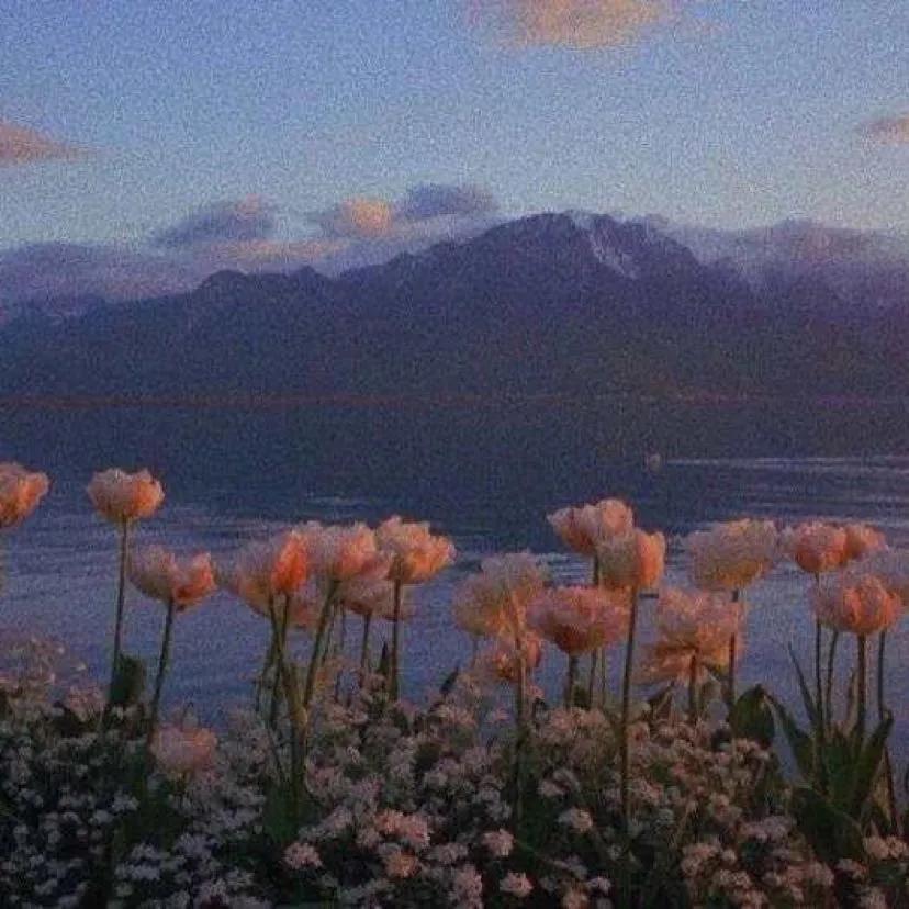 途中封面