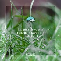 Morning Melodies of Light Rain, Insects and Birds, Vol. 3