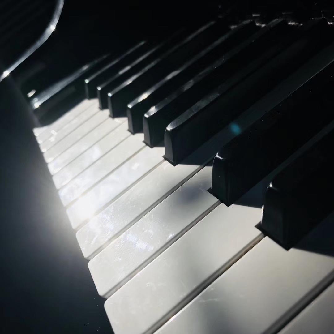 孤独面店｜cover：李嘉格封面
