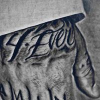 4everamin