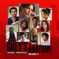 Grey's Anatomy, Vol. 2 (O.S.T)