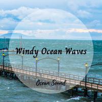 Ocean Sound: Windy Ocean Waves